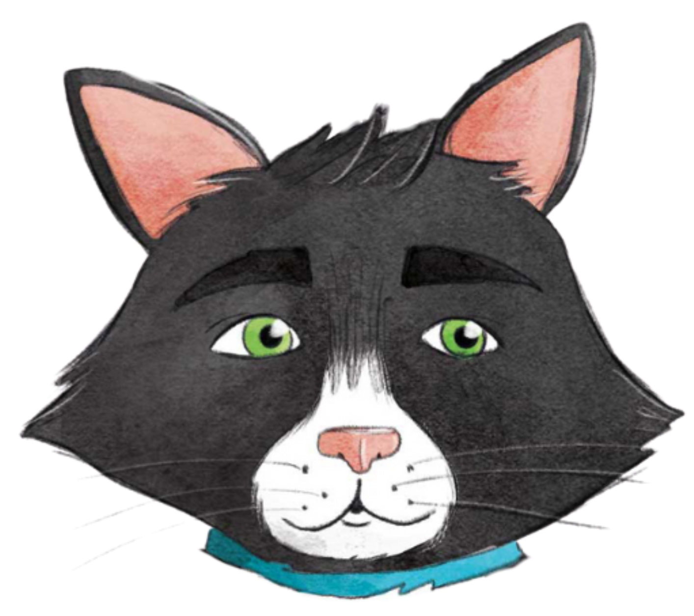 Kopf von Kater Salabim